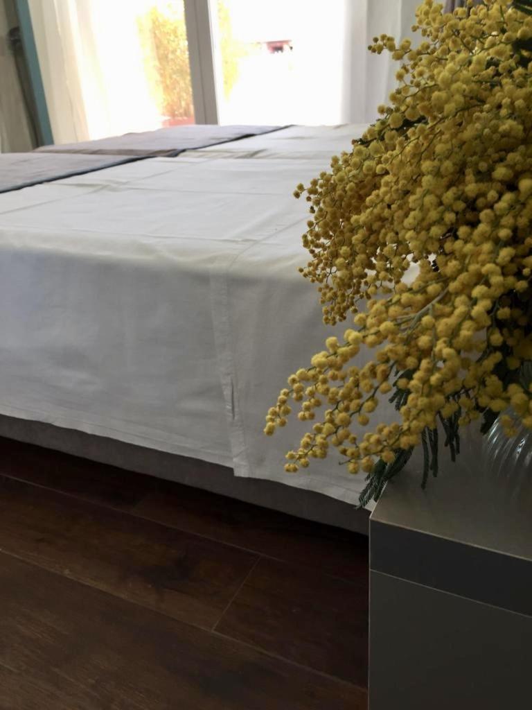 Amberyellowbnb Σκόδρα Εξωτερικό φωτογραφία